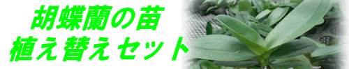 �Ӓ����̕c�@�A�ւ��Z�b�g