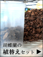 �Ӓ����̐A�ւ��Z�b�g