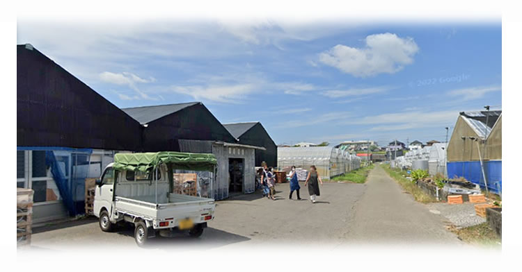 ���؉��|�̕��i