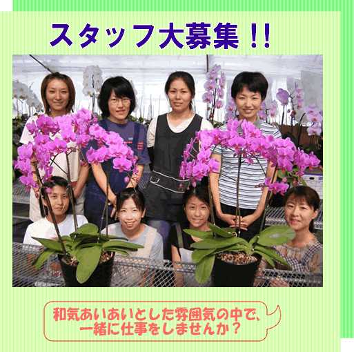 �Ӓ����̈��؉��|�X�^�b�t��W