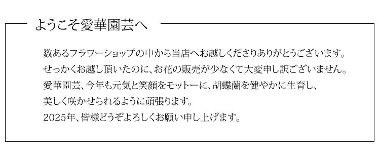 Ӓ̃J_