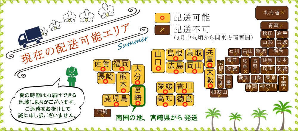 �Ӓ����̔����G���A