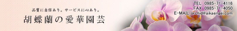 �Ӓ����̈��؉��|�@���Y�_�Ƃ��V�N�ȌӒ����𒼑����܂�