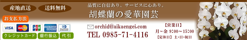 �Ӓ����̈��؉��|