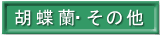 �Ӓ����E���̑�
