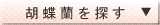 �Ӓ����@�t�����[�V���b�v