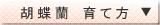 �Ӓ����̈�ĕ��ɂ���