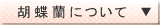 �Ӓ����E���̑�
