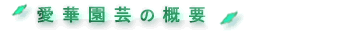 �Ӓ����̈��؉��|�T�v