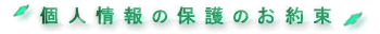 �Ӓ����̌l���ی�